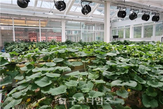 스마트팜센터